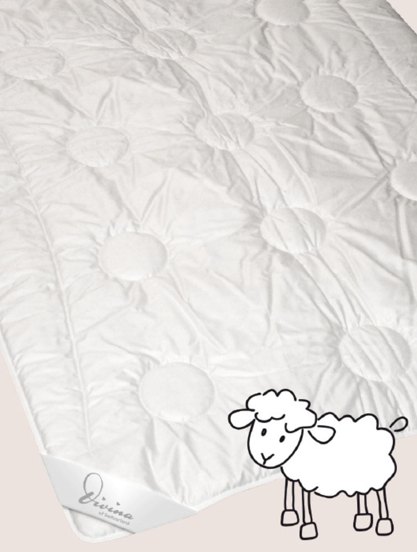 1.68 Merino légère
